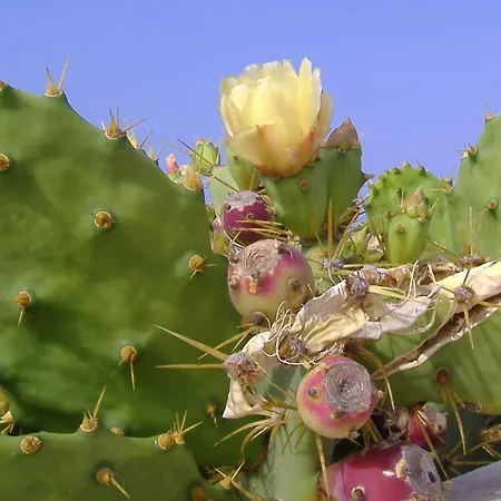 Appartement Atalaya Vista Mar *