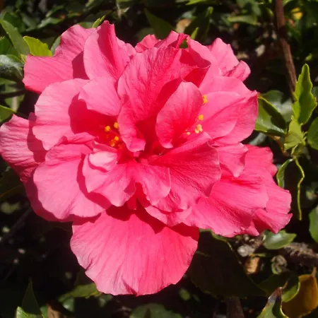 Appartement Atalaya Vista Mar *