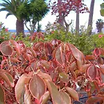 Apartament Atalaya Vista Mar Puerto del Carmen (Lanzarote)