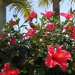 Atalaya Vista Mar