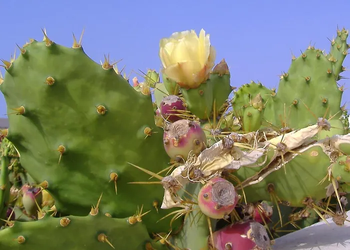 Appartement Atalaya Vista Mar *