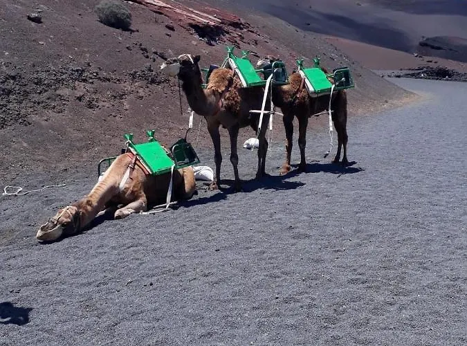 شقة Atalaya Vista Mar بويرتو ذيل كارمين